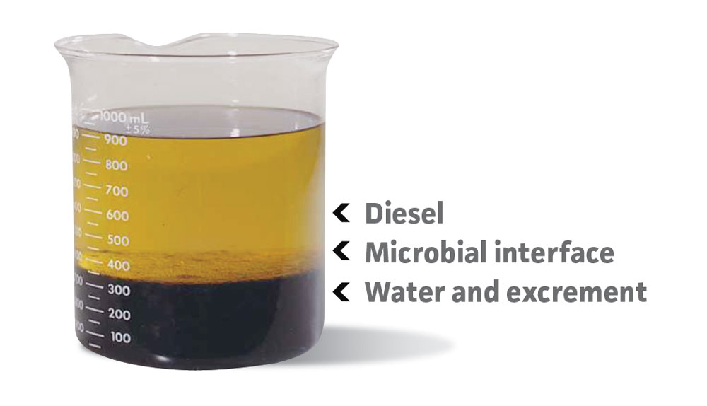 Components of a contaminated fuel tank stratified by weight